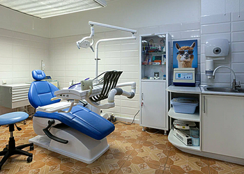 Фото клиники Стоматология Дентария — №4