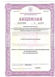Лицензия клиники Медицинский центр Добрый доктор на Лермонтова — № ЛО-38-01-003541 от 14 июня 2019