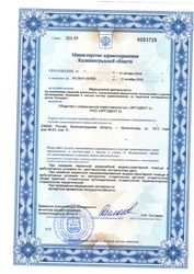 Лицензия клиники Стоматология Эргодент ул. 1812 года, д. 53 — — №2