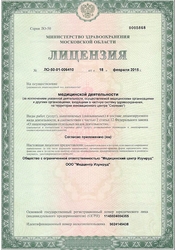 Лицензия клиники Медицинский центр Изумруд — №2