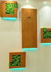 Фото клиники Альзория — №3