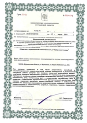 Лицензия клиники Медицинский центр Губернский лекарь — № ЛО-51-01-001918 от 27 марта 2018