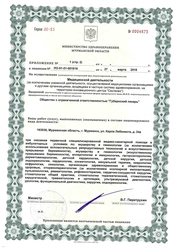Лицензия клиники Медицинский центр Губернский лекарь — № ЛО-51-01-001918 от 27 марта 2018