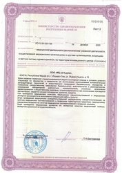 Лицензия клиники Медицинский центр Айболит на Кырли — № ЛО-12-01-001135 от 24 декабря 2020