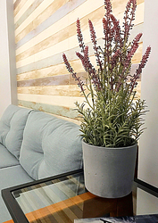 Фото клиники Артиум Дентал Клиник — №8