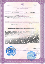 Лицензия клиники Клиника доктора Машукова Медалист — № ЛО-38-01002003 от 24 декабря 2014