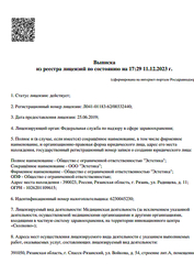 Лицензия клиники Стоматология Эстетика на Радищева — № Л041-01183-62/00332440 от 25 июня 2019