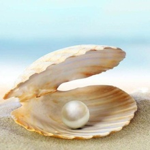 Стоматология Жемчужина на Стрелковой