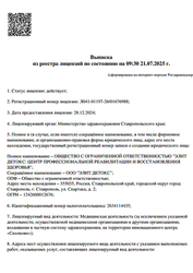 Лицензия клиники Elite Detox (Элит Детокс) — № Л041-01197-26/01676988 от 28 декабря 2024