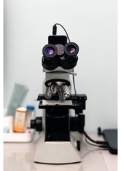 Фото клиники Андроэксперт — №6