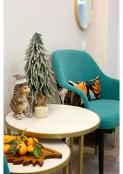 Фото клиники Клиника здоровой кожи — №5