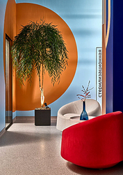 Фото клиники Стоматология Линии белого — №13