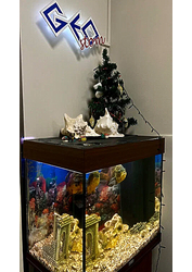 Фото клиники Геостом — №4