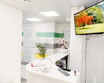 Фото клиники Alma Dental Clinic (Алма Дентал Клиник) — №3