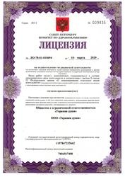 Лицензия клиники Терапия души на Новочеркасском (Династия) — — №2