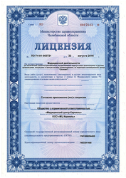 Лицензия клиники Кармель — №2