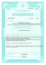 Лицензия клиники VenoClinica в Челябинске — № ЛО-66-01-006534 от 11 июня 2020