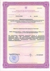 Лицензия клиники Стоматологическая клиника Аполлония — — №2