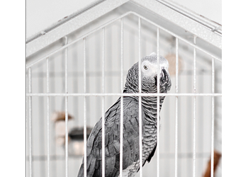 Фото клиники Харизма — №40