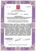 Лицензия клиники Юнион Клиник (Union Clinic) — — №3