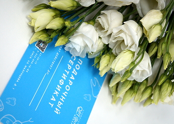 Фото клиники Стоматология Ортодонт-центр на Малунцева — №11